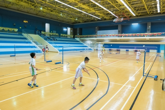 Badminton
