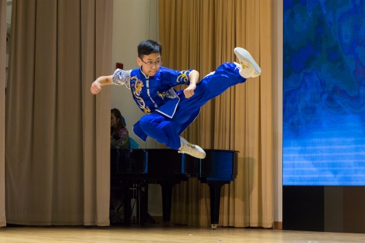 Wushu